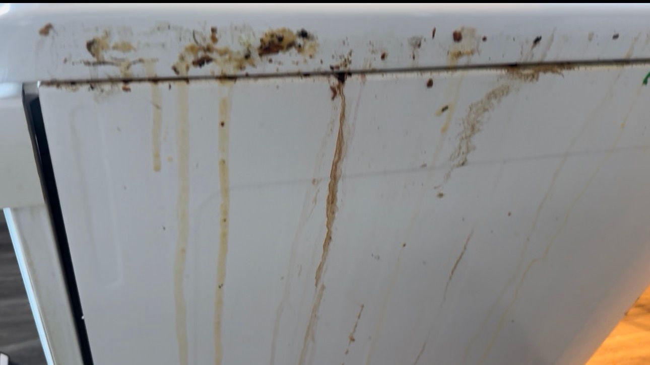 Sécheuse avant nettoyage